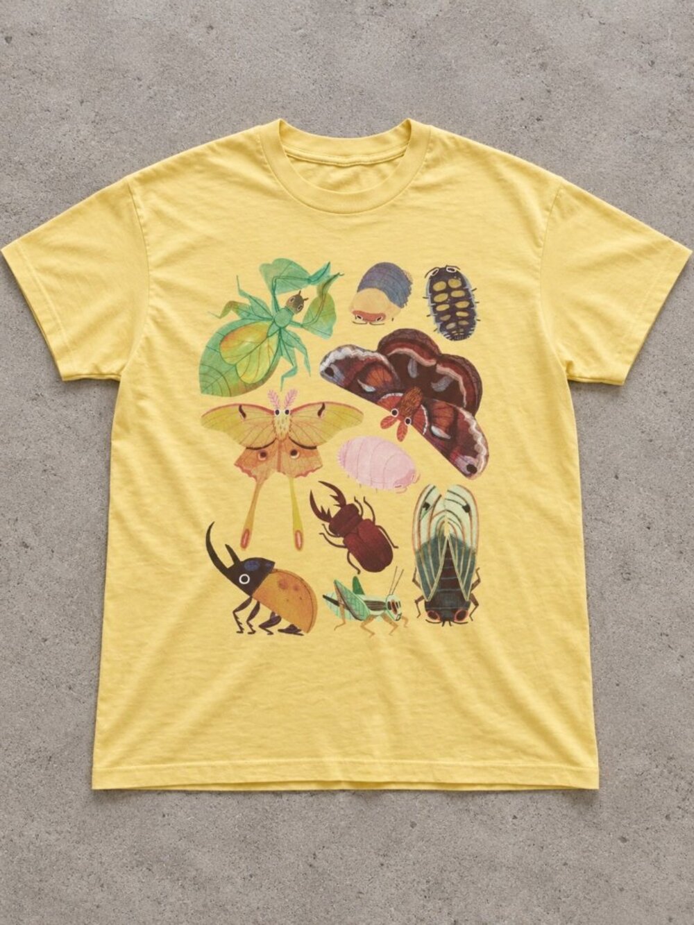 Illustrated Bugs and Moths Daisy Graphic Gildan T-Shirt